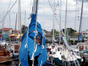 Das ist Ente Erna - Sie wohnt im Hafen Zöbigker und macht es sich stehst gemütlich...